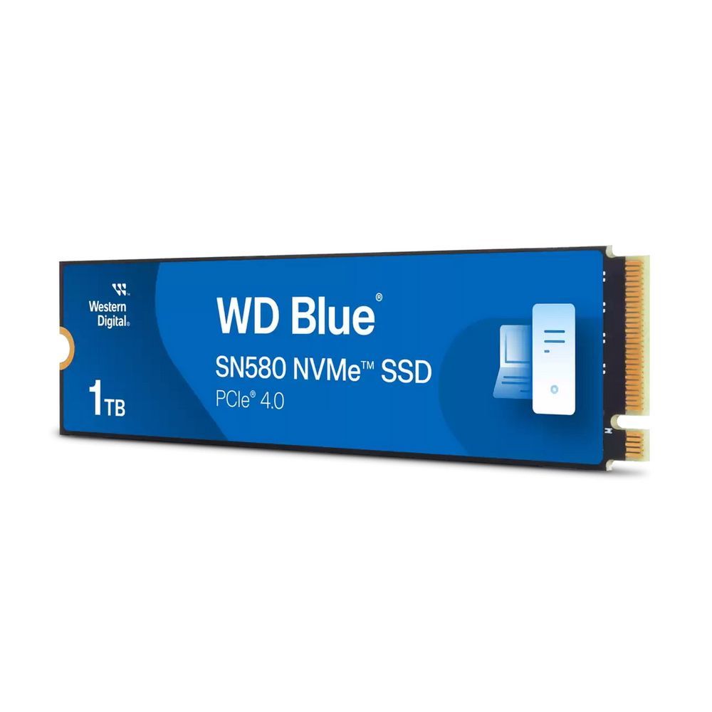Накопитель данных  WDS100T3B0E