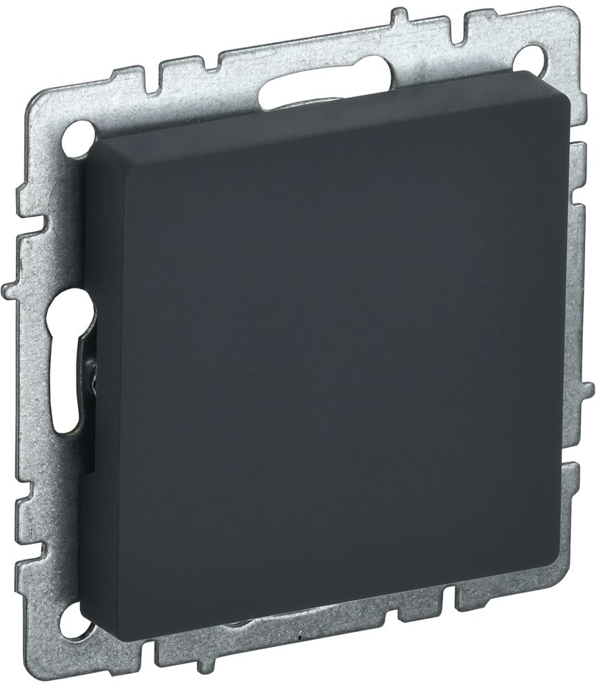 Заглушка розетки МЗ10-БрГ BR-PL10-K53