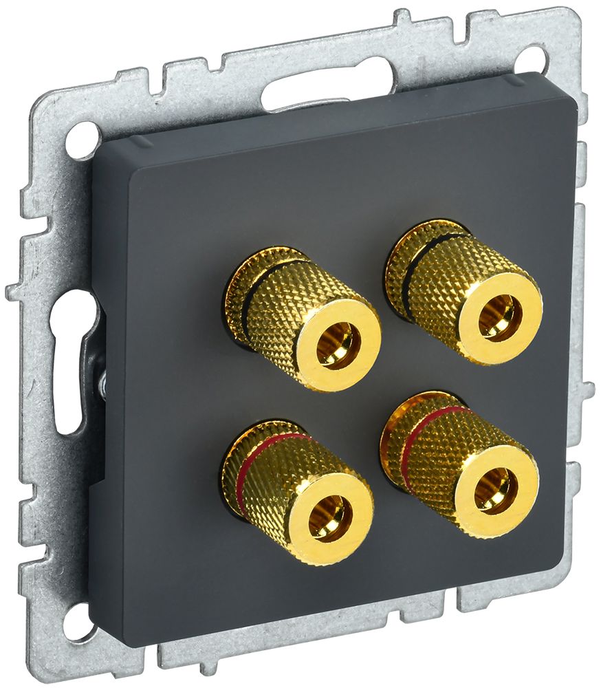 Розетка мультимедийная РА10-БрГ BR-S40-K53