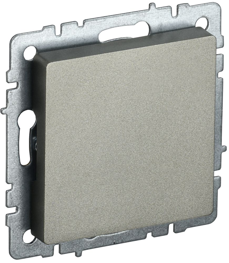 Заглушка розетки МЗ10-БрШ BR-PL10-K37