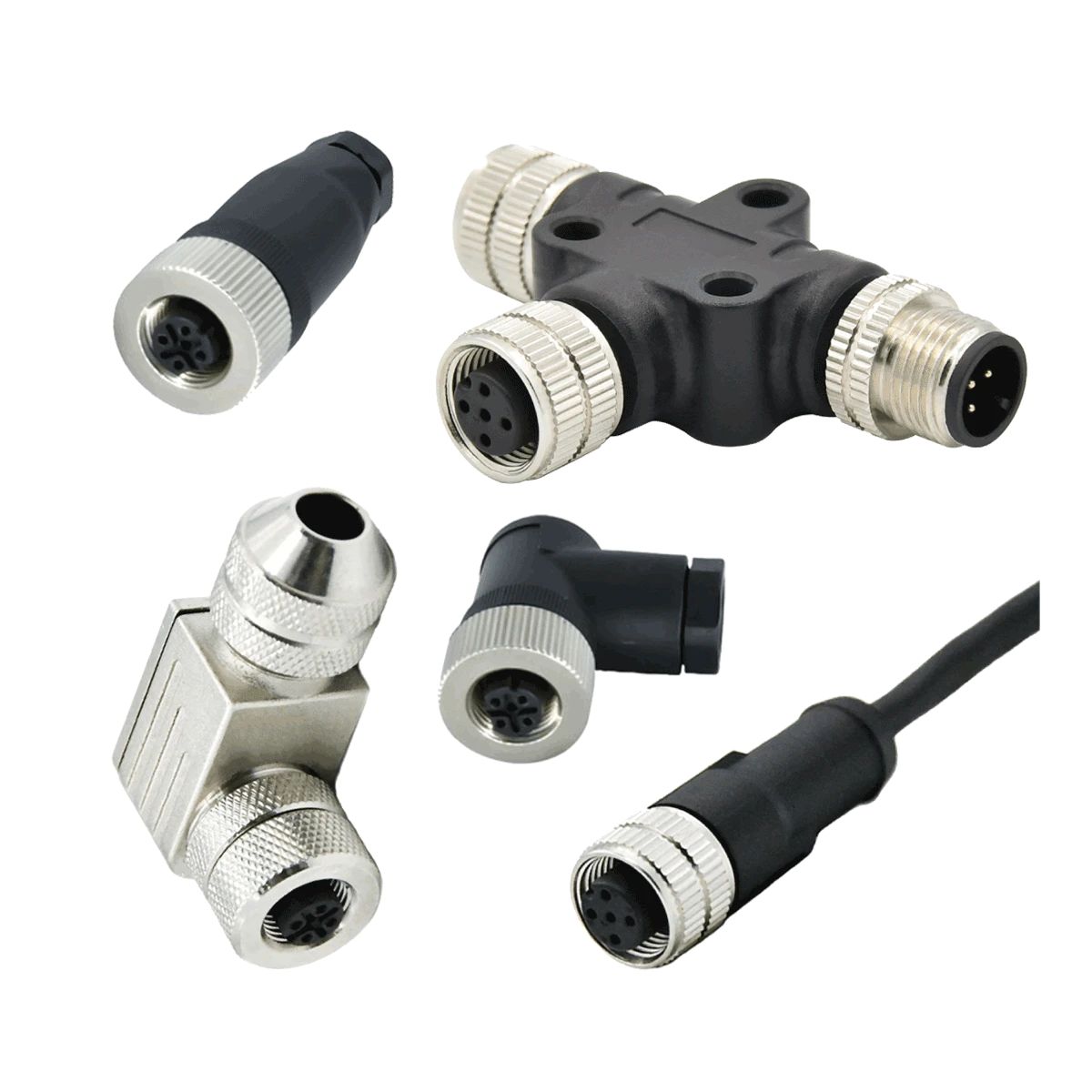 Разветвитель M12-A-5-AD-T-1 148148