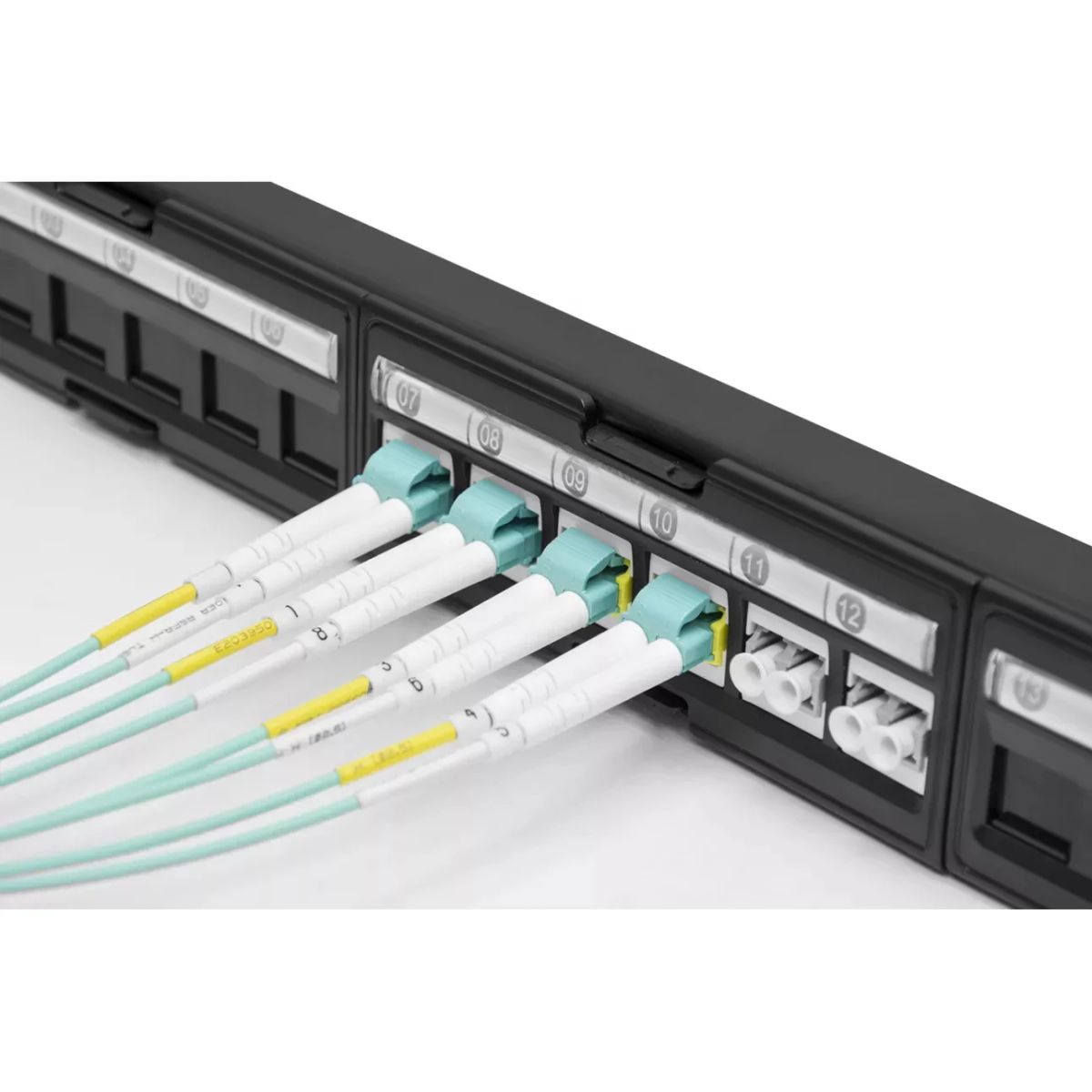 Патч-панель  SNR-UL-1U24-D