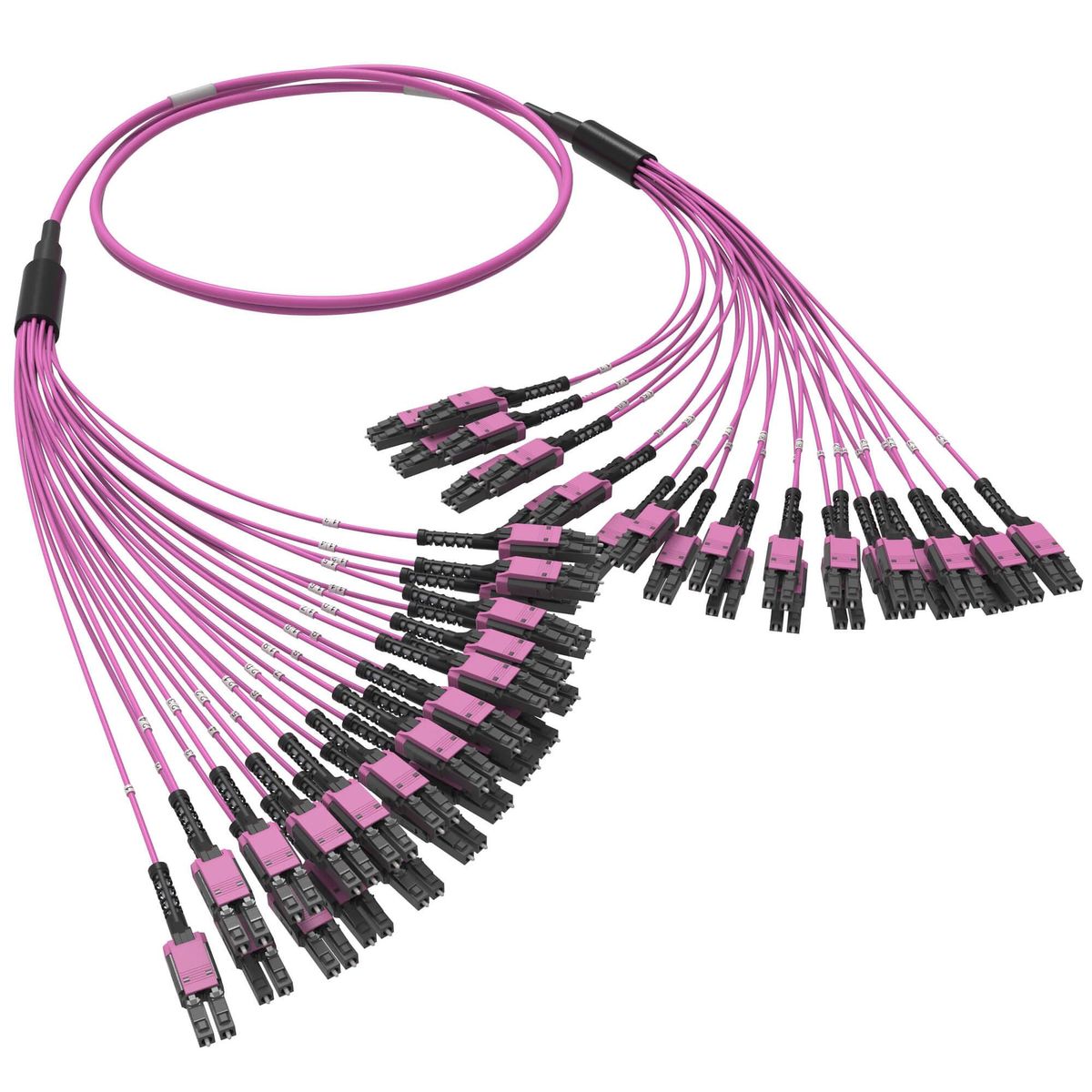 Сборка оптическая  RNFLL48440