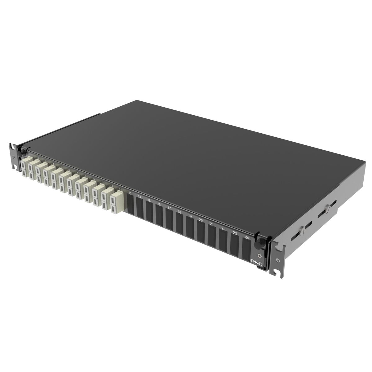 Панель оптическая  RNFP50DSCU12