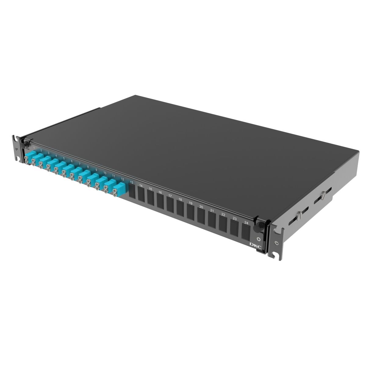 Панель оптическая  RNFP53DLCU12