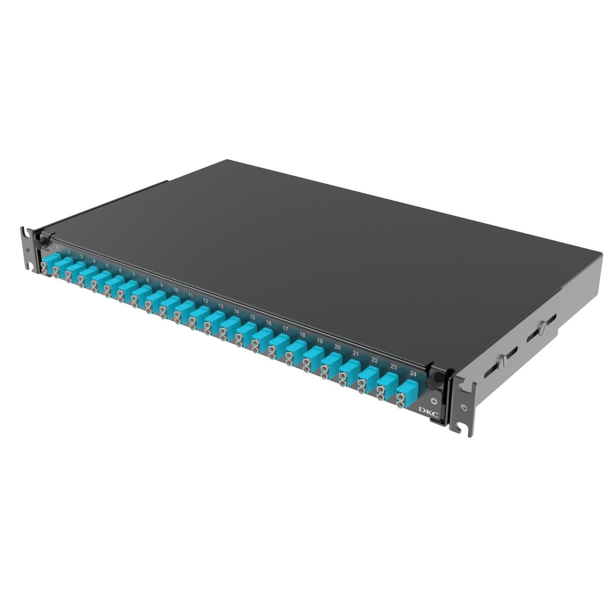 Панель оптическая  RNFP53DLCU24