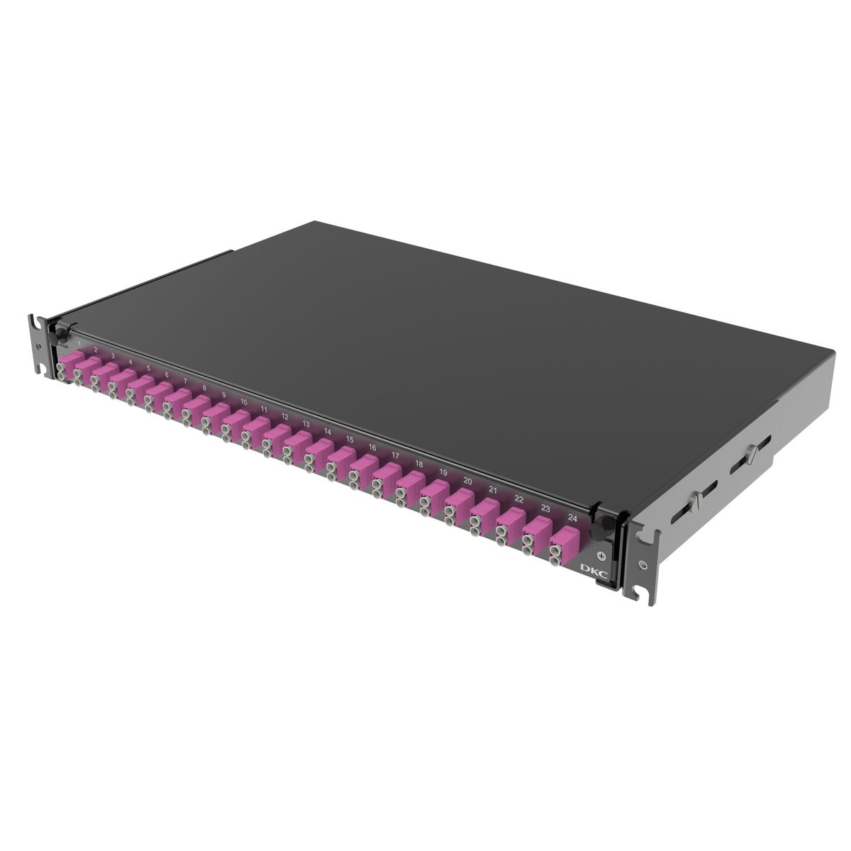 Панель оптическая  RNFP54DLCU24
