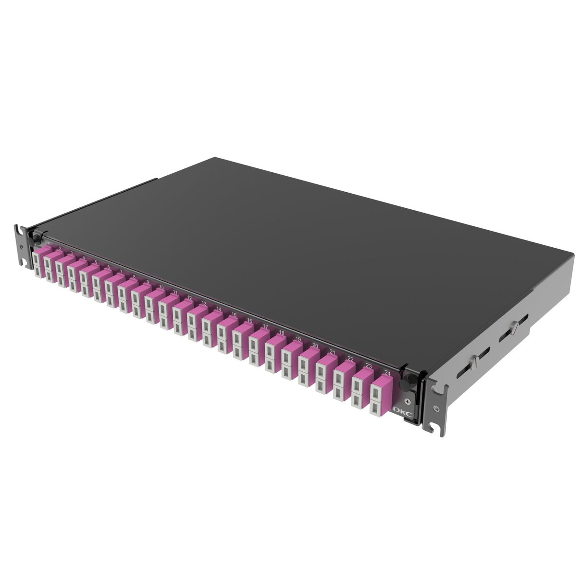 Панель оптическая  RNFP54DSCU24