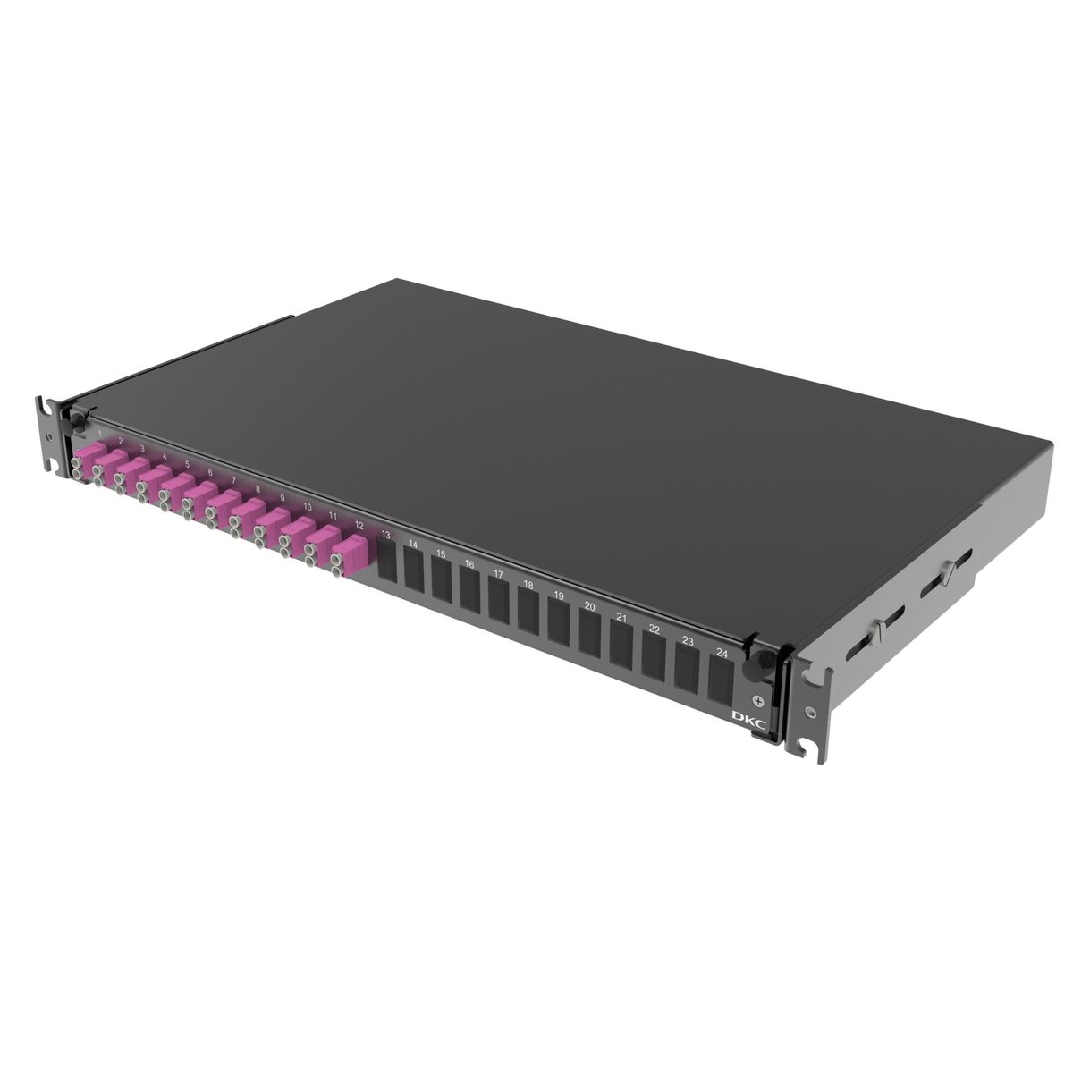 Панель оптическая  RNFP54DLCU12