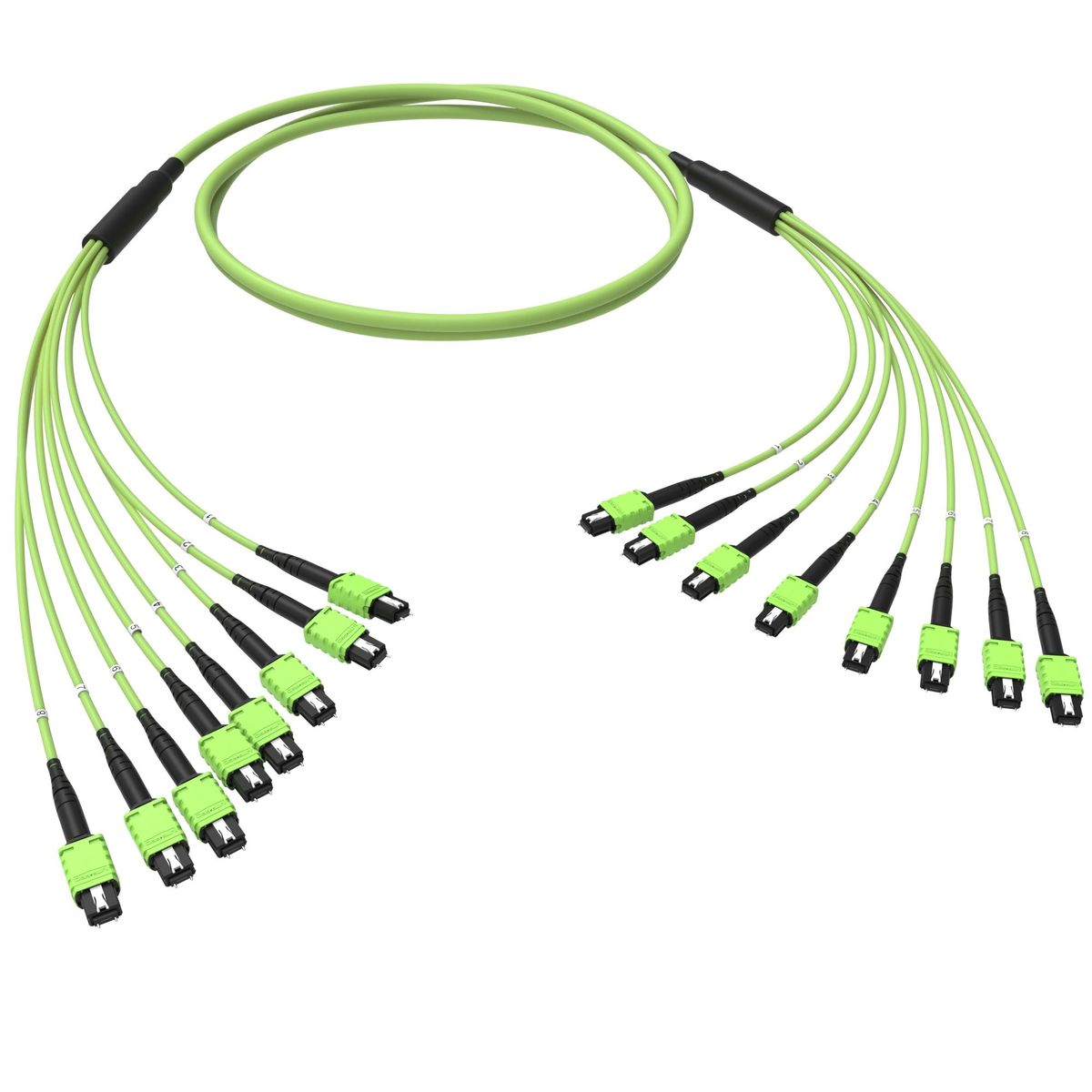 Сборка оптическая  RNTMM8X12V150