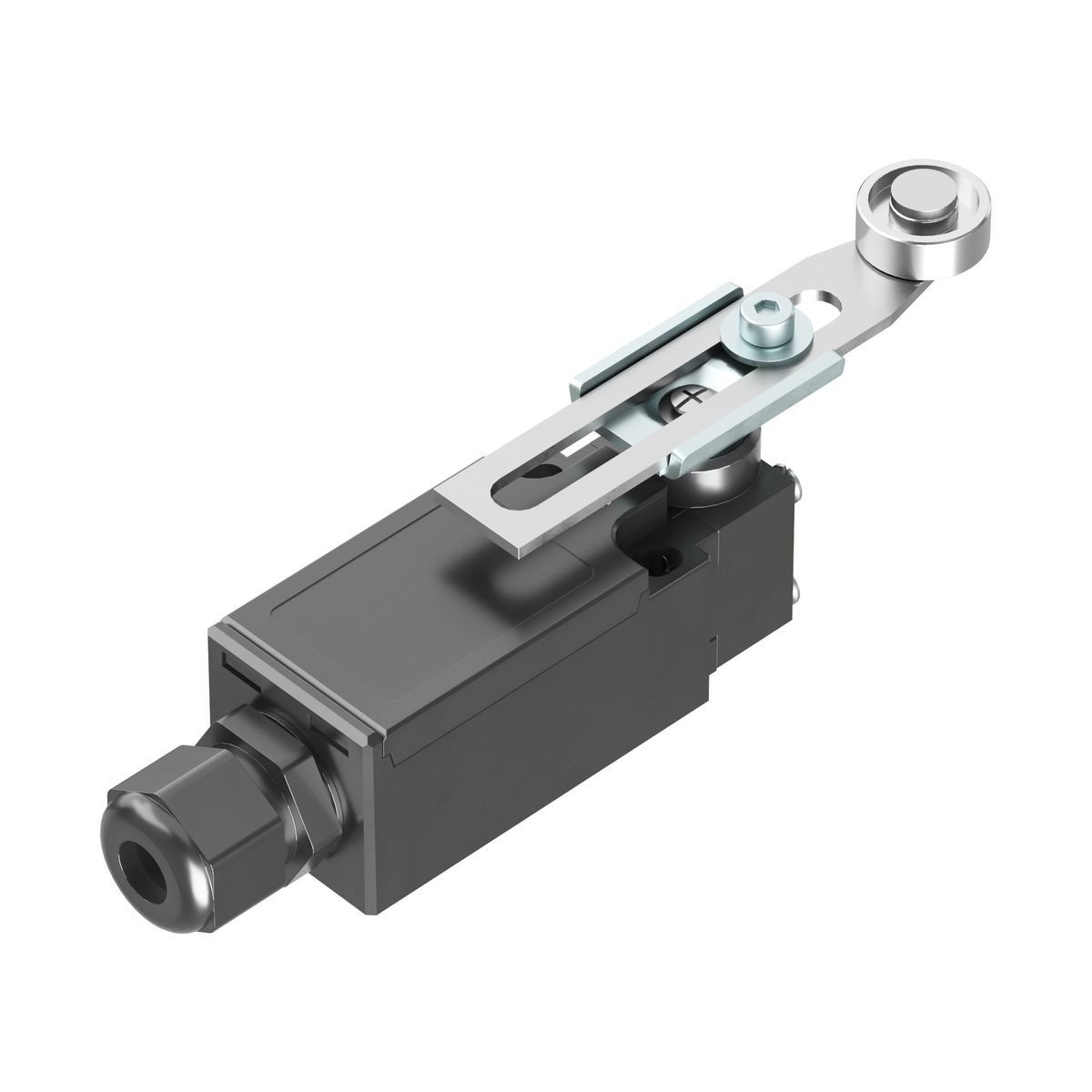 Выключатель концевой  R5MC131