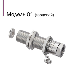 Извещатель охранный магнитоконтактный ИО102-07е-Exd-Н-01-НР-250 ER025000000079-0000